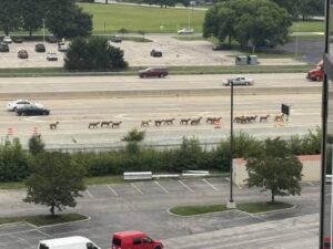 The I-465 Sheep Crash: What a Wild Highway Story Teaches Indiana Drivers About Crash Liability